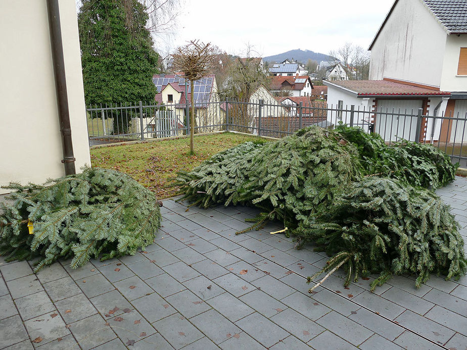 Es weihnachtet in St. Crescentius (Foto: Karl-Franz Thiede)